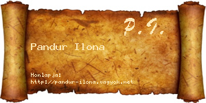 Pandur Ilona névjegykártya